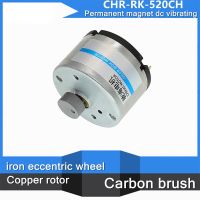 RK520 Permanent Magnet Micro DC Vibrating Motor DC6V-24V Electric Motors