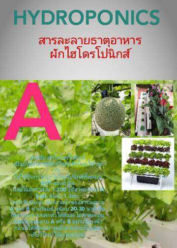 ปุ๋ย-ab-hydroponics-ชุด-a1ลิตร-b1ลิตร-สารละลายธาตุอาหารผักไฮโดรโปนิกส์-ปุ๋ยไฮโดรโปนิกส์-ปุ๋ย-ab-แพ๊คคู่-ปุ๋ยน้ำ-สูตรเพิ่มธาตุเหล็ก-ร้าน-ab-ไฮโดรโปนิกส์1