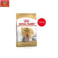 Royal Canin Yorkshire Adult 7.5kg อาหารเม็ดสุนัขโต พันธุ์ยอร์คไชร์ เทอร์เรีย อายุ 10 เดือนขึ้นไป (Dry Dog Food, โรยัล คานิน)