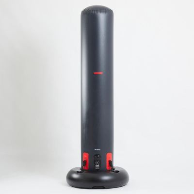 Free-Standing Punching Bag- Inflatable
