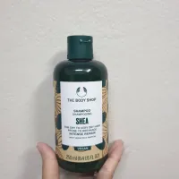 ? พร้อมส่ง The body shop Shea shampoo 250ml แชมพูบำรุงเส้นผมที่แห้งเสียผ่านการทำสีผม ช่วยให้ผมนุ่มลื่นมีน้ำหนัก [ Beauty Face ]