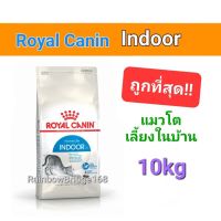 Exp.09/24 Royal Canin Indoor 10kg โรยัลคานิน แมวโต แมวเลี้ยงในบ้าน ขนาด 10 กิโลกรัม