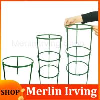 Merlin Irving Shop Plant Support Pile Stand climb for Flowers grow Semicircle Greenhouses Arrangement Fixing Rod Holder Orchard Garden Bonsai Tool