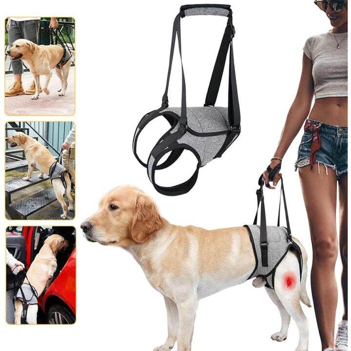 Dog Lift Harness for All Size Dogs, Adjustable Dog Support Harness for