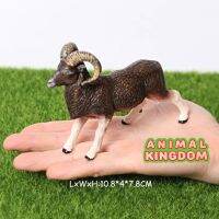 Animal Kingdom - โมเดล Argali แพะภูเขา ขนาด 10.80 CM (จากสงขลา)