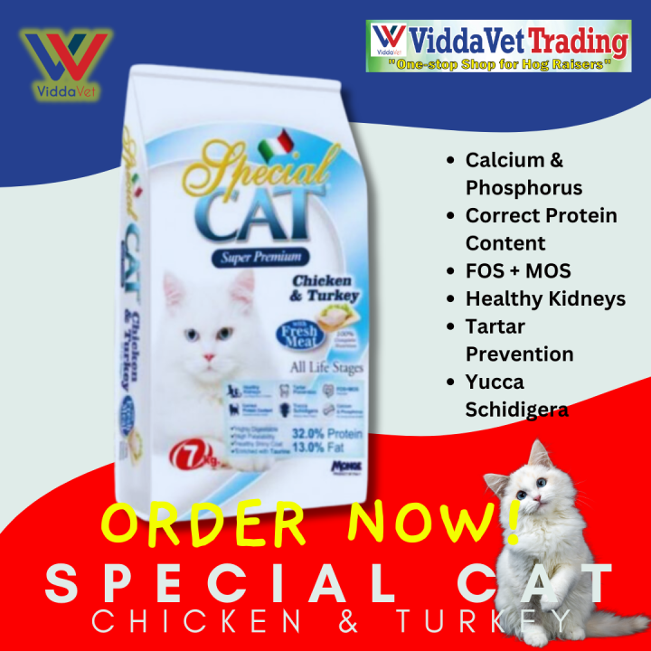 SPECIAL CAT DRY FOOD Italian High Premium Dry cat food with Chicken and ...