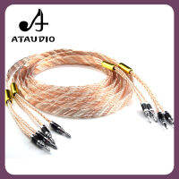 สายลำโพง HIFI ATAUDIO คุณภาพสูงสายลำโพงสับทองแดงและเงินพร้อมแจ็คกล้วยคาร์บอนไฟเบอร์