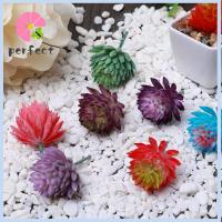 PAS 1 PC DIY สวน การตกแต่งบ้าน การจัดดอกไม้ พืชจิ๋ว กระบองเพชรเหมือนจริง Succulents จำลองสถานการณ์ ดอกไม้ประดิษฐ์