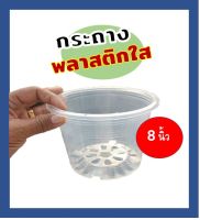 กระถางใส กระถางพลาสติกใส 8 นิ้ว กระถางต้นไม้ พร้อมส่ง