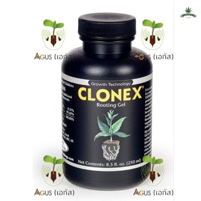 [สินค้าพร้อมจัดส่ง]⭐⭐เจลเร่งราก Clonex rooting hormone gel ขนาด 250 ml. ของแท้ 100% USA เจล ระเบิดราก ฮอร์โมน เร่งดอก น้ำยา ยา เร่งราก เร่งโต[สินค้าใหม่]จัดส่งฟรีมีบริการเก็บเงินปลายทาง⭐⭐