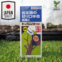 ครีมทาแผลไม้สำหรับแคคตัส/บอนไซ TOPJIN M Paste ฝาน้ำเงิน ขนาด 100กรัม ? สินค้าคุณภาพนำเข้าจากญี่ปุ่น