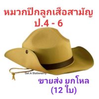 หมวกลูกเสือสามัญ ป. 4 - 6 หมวกปีกลูกเสือ [ขายส่ง 12 ใบ]