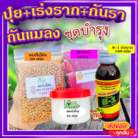 เซ็ต ปุ๋ยบำรุง+B-1เร่งราก+กันรา+กันแมลง+?ออสโมโค้ท บำรุงต้น (Osmocote)50g.+แคปแทน กันเชื้อรา (Captan)30g.+สตาร์เกิลจี กันแมลง (Starkle G)50g.+เร่งราก(B-1)100g.?