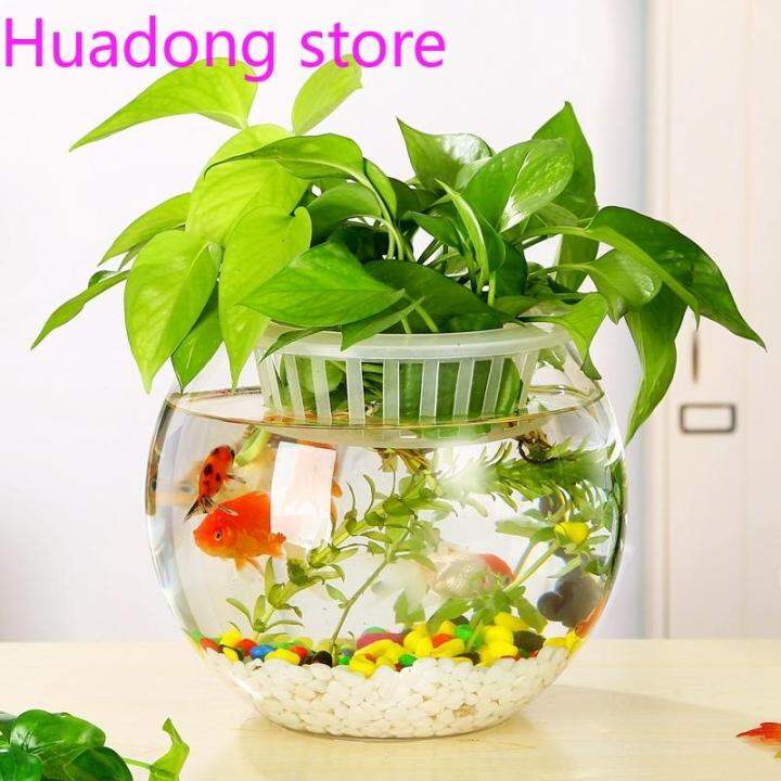 (Fast delivery, good quality) fish tank Lazada