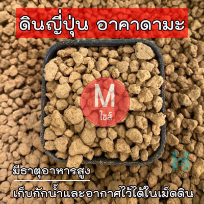 ดินญี่ปุ่นอคาดามะ (Akadama) มีธาตุอาหารสูง เก็บกักน้ำและอากาศไว้ได้ในเม็ดดิน