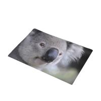 CAMMITEVER Cute Australia Koala Animals Mat Area Rug Carpet for Bedroom Living Room Carpet Kitchen Bathroom Anti-Slip Floor Mats