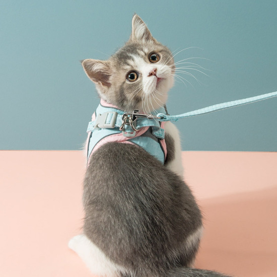 Petlifeland dây xích phản quang cho thú cưng da lộn mới áo ba lỗ dây đeo - ảnh sản phẩm 3