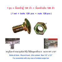 สกรูน็อตเหล็กฉาก หัวกลม ชุบซิงค์สีรุ้ง 1/4" x 1/2" สำหรับประกอบชั้นเหล็กฉากเจาะรู (น็อตตัวผู้ 120 ตัว + น็อตตัวเมีย 120 ตัว)