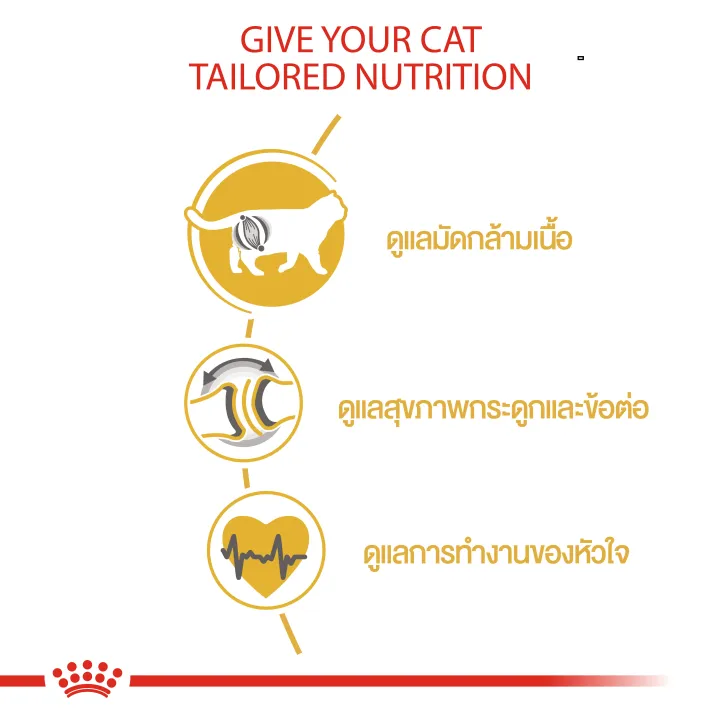 หมดอายุ11-2024-royal-canin-british-shorthair-adult-2-kg-อาหารสำหรับแมวโตพันธุ์บริทิชช็อตแฮร์