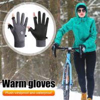 【CW】 Warm Gloves Thermal Windproof for Skiing Fishing Cycling Mountaineering