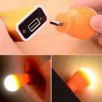 Portable Mini USB LED Light Bulb Outdoor Camping Hiking Energy Saving Night Lamp