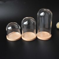 5pcs 1:12 Dollhouse Miniature Decor Flower Display Glass Display Bell Jar with Base Dollhouse Decoration Accessories 15 Size