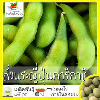 เมล็ดพันธุ์ ถั่วแระญี่ปุ่น คาริคาชิ 15 เมล็ด Karikachi Edamame Seed เมล็ดพันธุ์แท้100% นำเข้าจากต่างประเทศ ปลูกผัก สวนครัว ราคาถูก