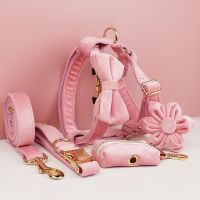 【LZ】 Pink Velvet Dog Collar And Leash Set For Small Medium Large Dogs Custom Engraved Nameplate Pet Supplies Dog Leash Velvet 01