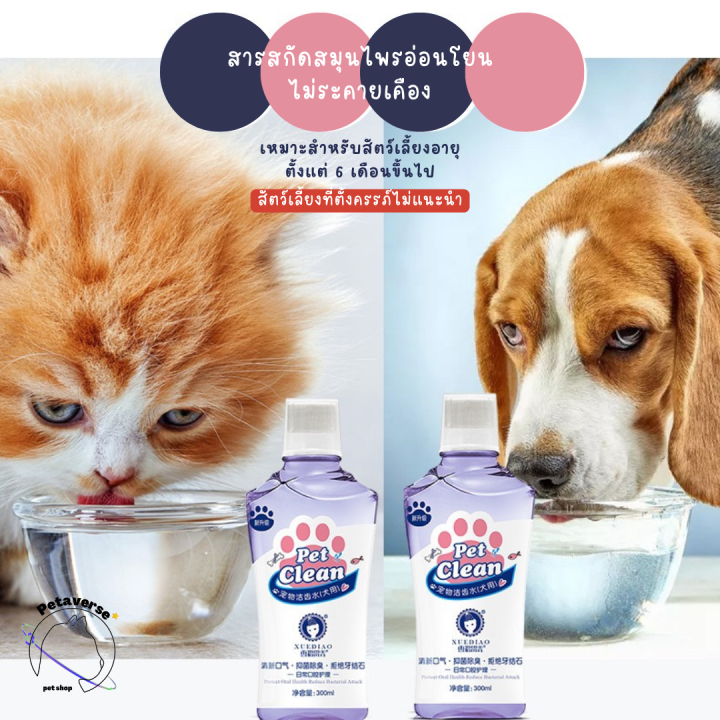 petaverse-petshop-น้ำยาดับกลิ่นปากสัตว์เลี้ยงแบบผสมกับน้ำดื่ม-น้ำยาลดกลิ่นปากสุนัข-แมว-สูตรอ่อนโยน-ปริมาณ-300-ml