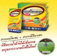 ยารา เอสโตเคด (Estocade) ขนาด 100กรัม