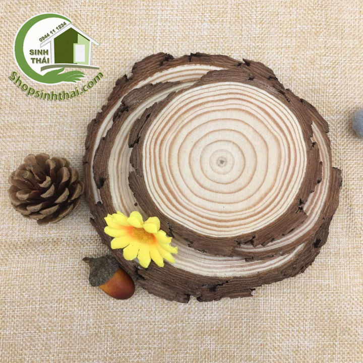 HCM]Miếng gỗ tròn - khoanh gỗ tròn trang trí - gỗ thông tự nhiên ...