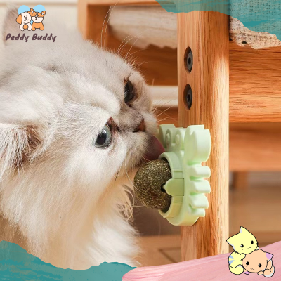 ✿ Peddy ✿ แคทนิปบอล ติดกำแพง ไม่กลิ้งหาย catnip ball กัญชาบอล บอลแมว กัญชาแมว พร้อมส่ง