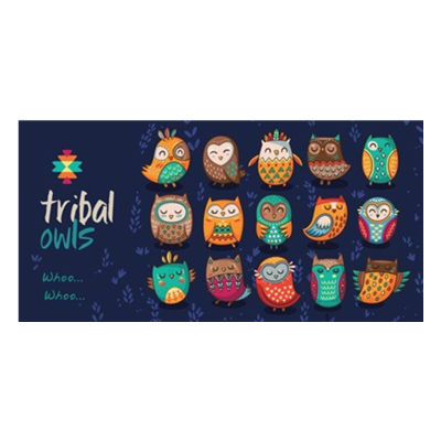 Funny Tribal Owls Beach Travel Towel for Kid Novelty Indian Owl Lightweight Bathroom Towel Girl Boy Microfiber Kitchen Hand Gift