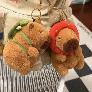 Shop Capybara Gift online - Jan 2024