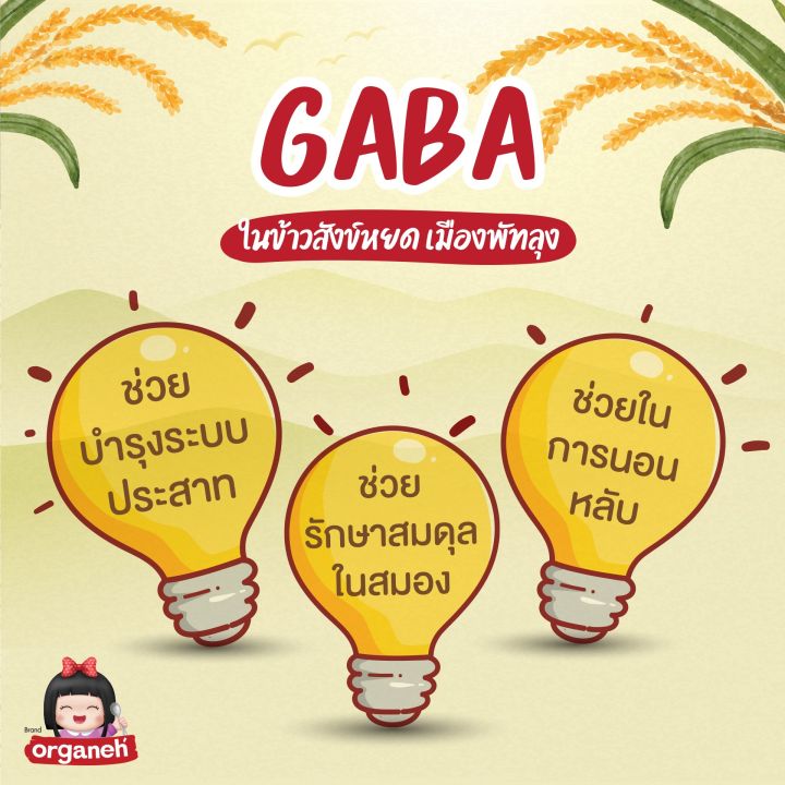 ข้าวสังข์-หยดเมืองพัทลุง-ข้าวออแกนิค-ได้รับรองgi