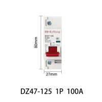 80A 125A 100A สำหรับ1P DC เบรกเกอร์ MCB PC วัสดุทนไฟ