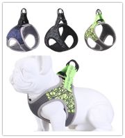 【DT】Dog Harness Traction Rope Vest Type Night Safety Reflective Pet Chest Harness Pit Bull Dog Special Traction Rope hot 1