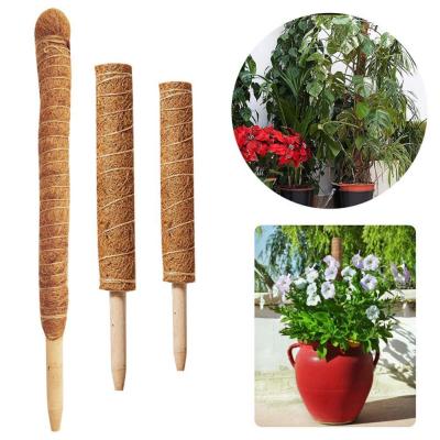 Plant Support Pole Stackable Durable Wooden Coir Moss Totem Pole for Indoor Plant Climbing Extension Stick Moss Poles Stick Food Storage  Dispensers