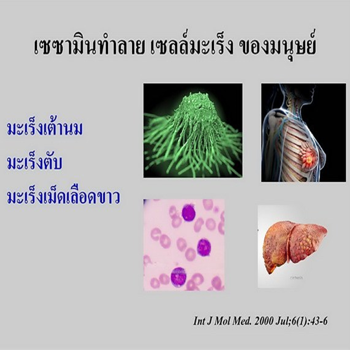 งาดำ-เซซามิ-เอส-กิฟฟารีน-giffarine-sesame-s-สารสกัดจากงาดำเข้มข้น