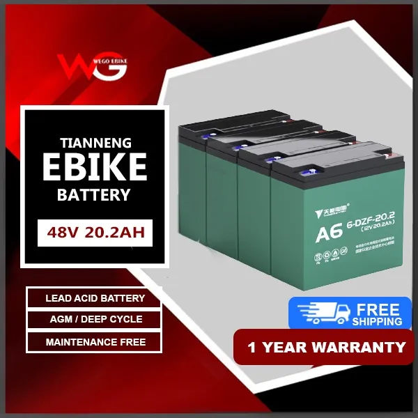 WEGO Ebike Battery 48Volts 20AH and 48Volts 20.2AH SET, for Romai, Nwow