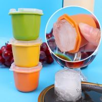 【Ready Stock】 ○✽ C14 Durable PP Polygon Food-grade Ice Mold / DIY Fruit Yoghurt Popsicle Molds / Whisky Ice Pop Makers / Reusable Ice Cream Mold / Kitchen Supplies / Popsicles Tray Holders