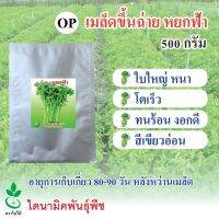 เมล็ดพันธุ์ขึ้นฉ่าย หยกฟ้า ตรา ใบไม้ ขนาด 500 กรัม จำนวน 1 ซอง นำเข้าจากประเทศอิตาลี จาก ไดนามิคพันธุ์พืช Chinese celery seeds (Yokfah) 500 grams imported from Italy by Dynamic Seeds