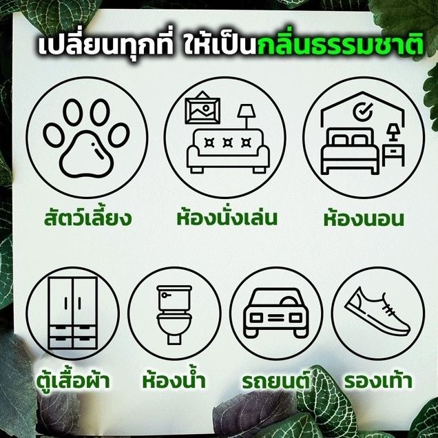 ผงดับกลิ่นทรายแมว-ผงสลายกลิ่น-ผงกำจัดกลิ่น-ดับกลิ่นอึ-ฉี่แมว-ดับกลิ่นภายในบ้านที่เลี้ยงสัตว์-ผงกำจัดกลิ่นภายในบ้าน-abele