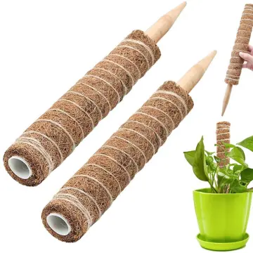 Plant Moss Coir Pole Bendable Plants Climbing Support Extension Palm Vines  Stick Indoor Balcony Garden Courtyard Flower Decor