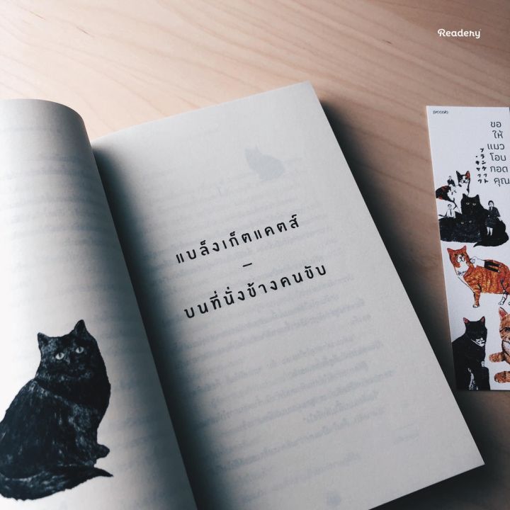 readery-ขอให้แมวโอบกอดคุณ-หนังสือ-โดย-kiyoshi-shigematsu-บริการเก็บเงินปลายทาง