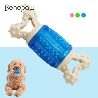 Nontoxic Dog Chew Toy Bone For Aggressive Chewers Durable Squeaky Food Dispensing Puppy Puzzle Toys For Puppy Teething