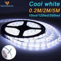 【CW】 2M/5M Strip 12V 2835 120Led/300Led SMD Not Night Led Lights for Room Decoration