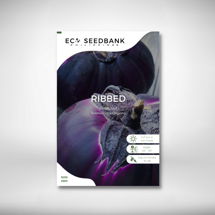 Ribbed Purple Eggplant Vegetable Seeds Eco Seedbank Philippines