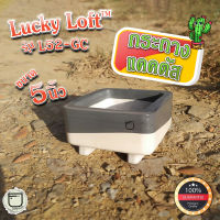 กระถางแคคตัส 5นิ้ว กระถางกระบองเพชร ไม้อวบน้ำ ทรงเหลี่ยม ลัคกี้ลอฟท์ มินิมอล&amp;ลอฟท์ "Lucky Loft™ L52-GC"