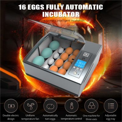 อัตโนมัติ Incubator Egg Home Brooder Bird Quail Chick Hatchery Incubator สัตว์ปีก Hatcher Turner ฟาร์มฟักไข่เครื่องมือ16ไข่